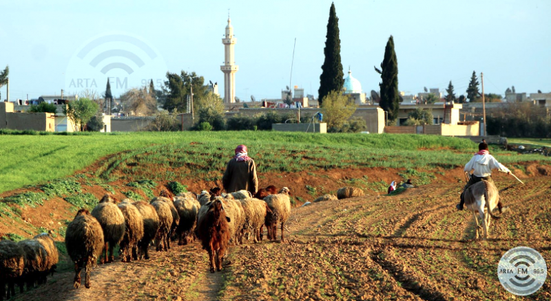 ARTA FM Syrian wave 