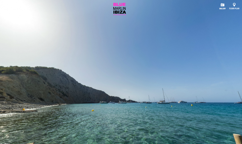 Blue marlin wave