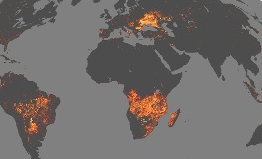 Fire in the world